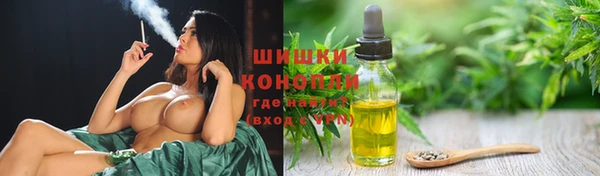 прущая мука Бородино