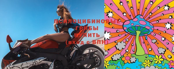 прущая мука Бородино