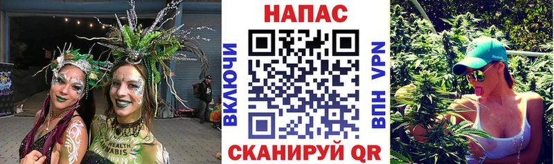 закладки  Менделеевск  Канабис конопля 